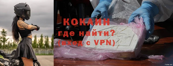 стаф Балахна