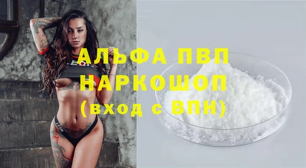 стаф Балахна