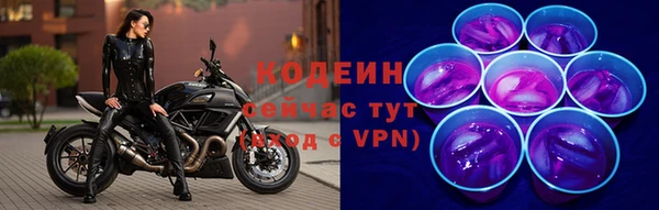 стаф Балахна