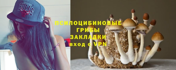 стаф Балахна